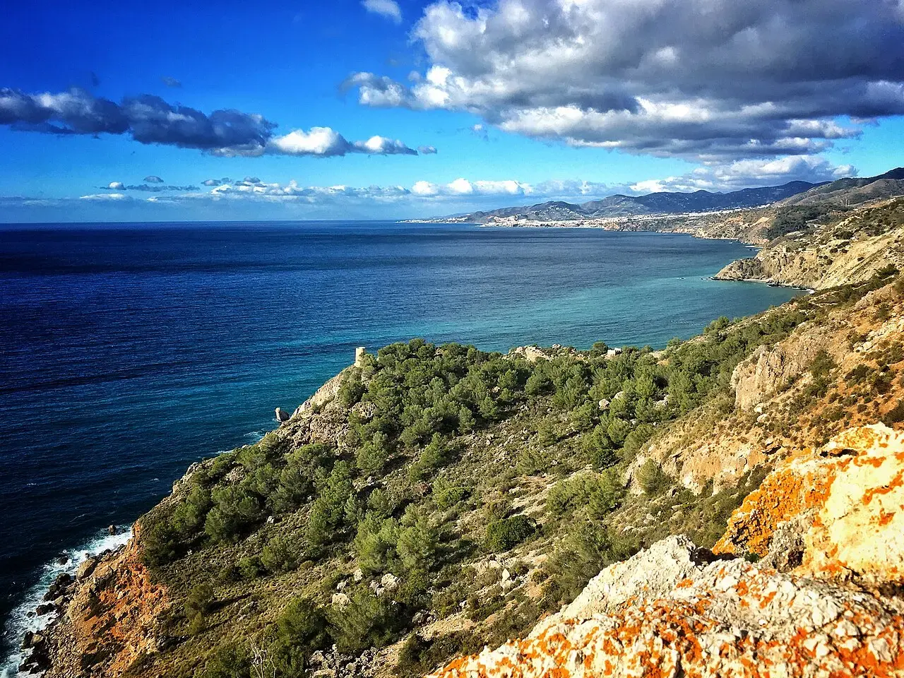 Acantilados de Maro-Cerro Gordo cubiertos de pinos cayendo sobre un mar azul intenso, con la costa de Granada al fondo