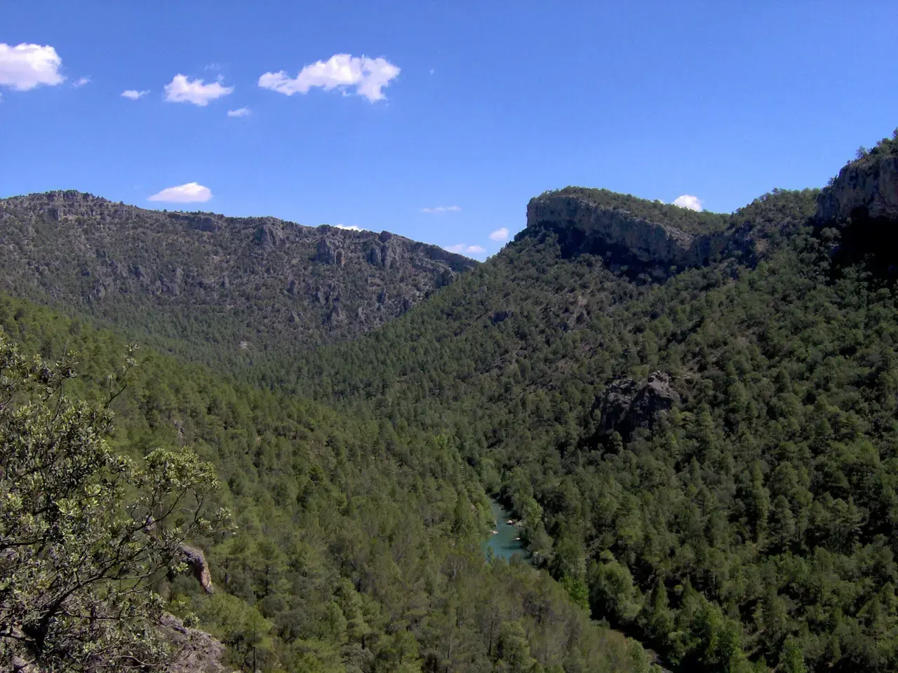 Hoz del río Tajo entre laderas cubiertas de pinar y cortados de roca, vista desde lo alto del Hundido de Armallones