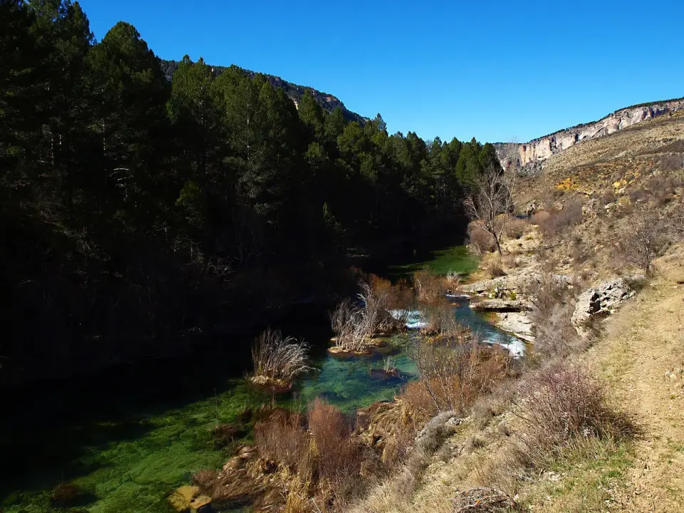 El río Tajo de aguas verdes y transparentes entre pinares y cortados calizos cerca de Peralejos de las Truchas
