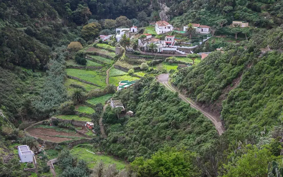 Caserío de Chamorga entre bancales verdes y bosque en un barranco de Anaga, con la carretera serpenteando