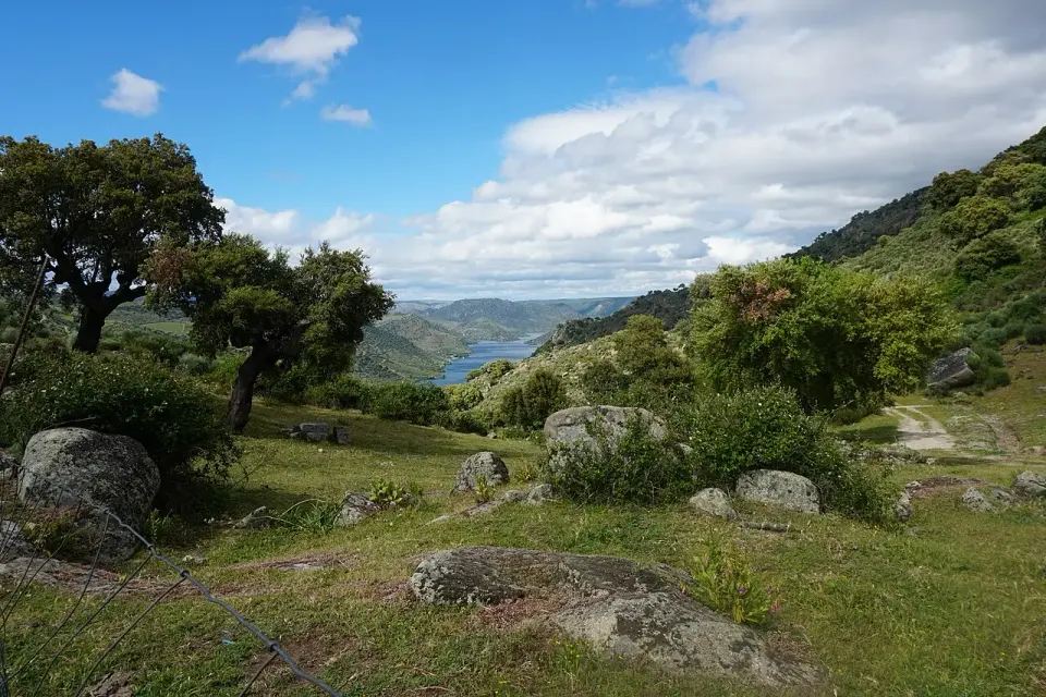 Ladera con encinas, rocas y pasto verde que baja hacia el Duero desde el mirador del Picón del Moro