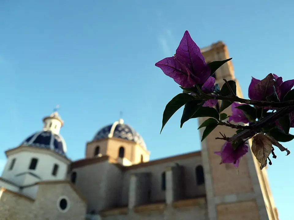 Cúpulas de tejas azules de la iglesia de Nuestra Señora del Consuelo de Altea, con buganvillas en primer plano
