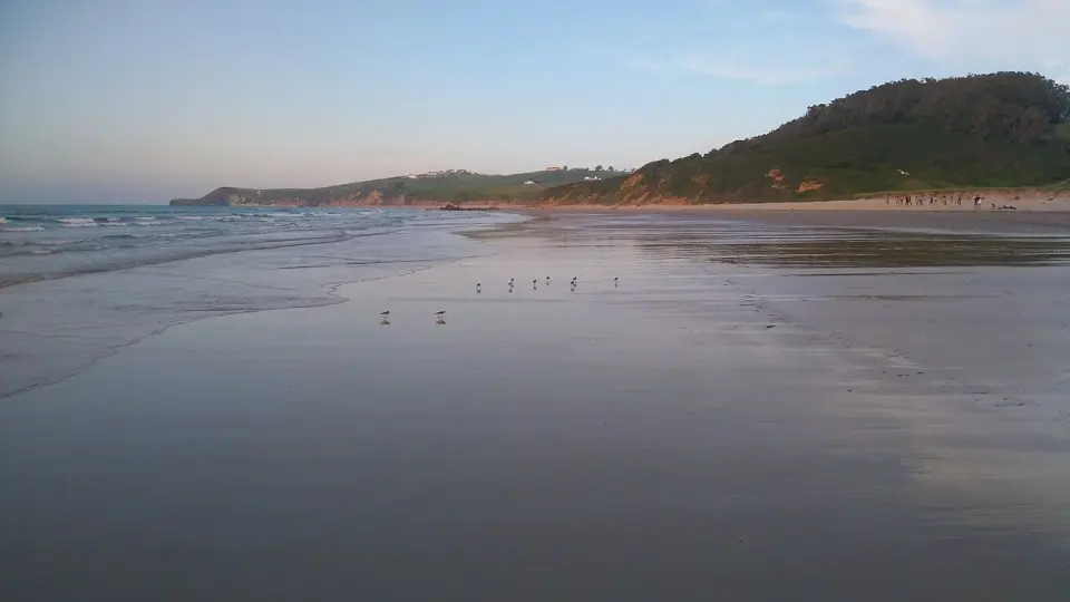 Playa de Oyambre al atardecer con marea baja, la arena mojada y el monte al fondo