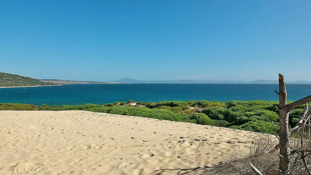 Duna de Bolonia cubierta de arena blanca junto a pinares, con la ensenada de Bolonia y el mar al fondo