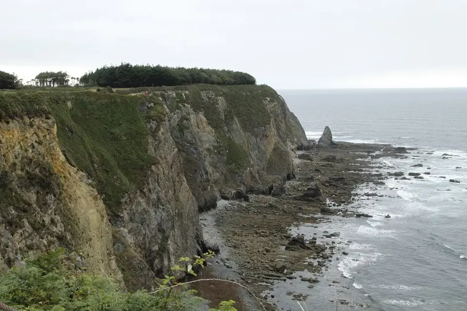 Acantilados verticales cubiertos de hierba sobre una rasa rocosa y el mar Cantábrico, desde cabo Busto