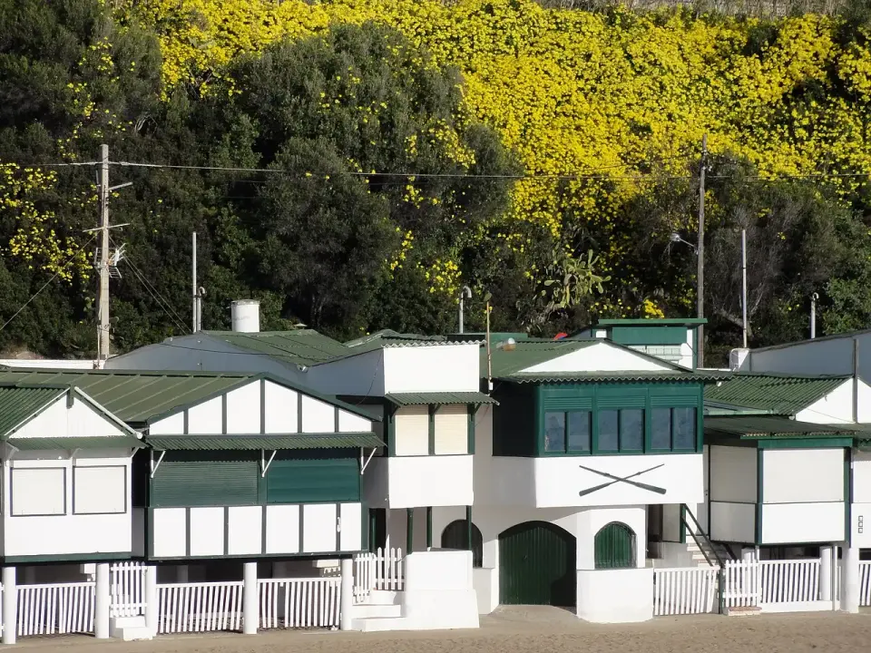 Casetas de playa blancas con ventanas verdes en la playa de Garraf, bajo la retama en flor