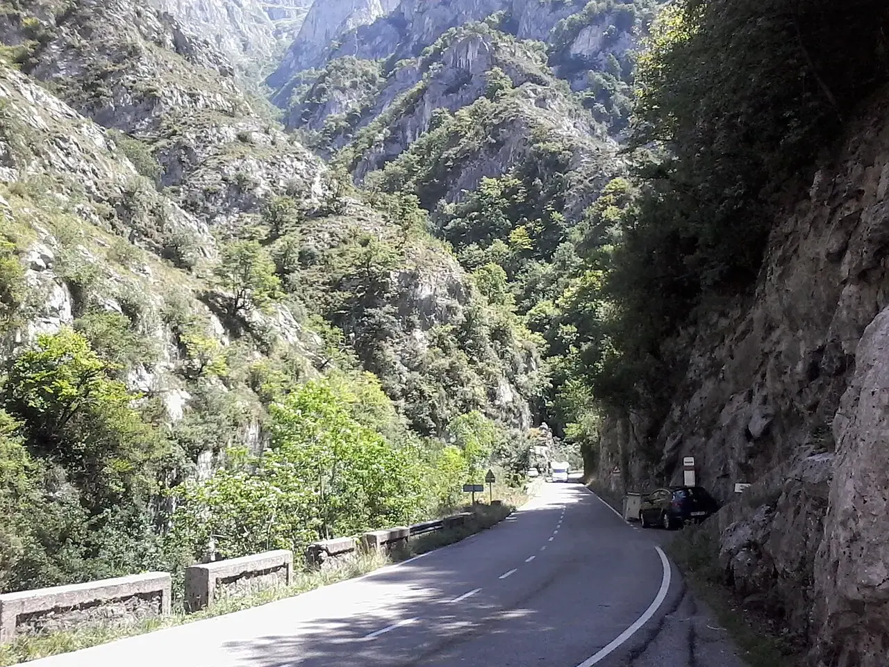 La carretera N-625 avanza encajada entre paredes de roca y bosque en el desfiladero de los Beyos