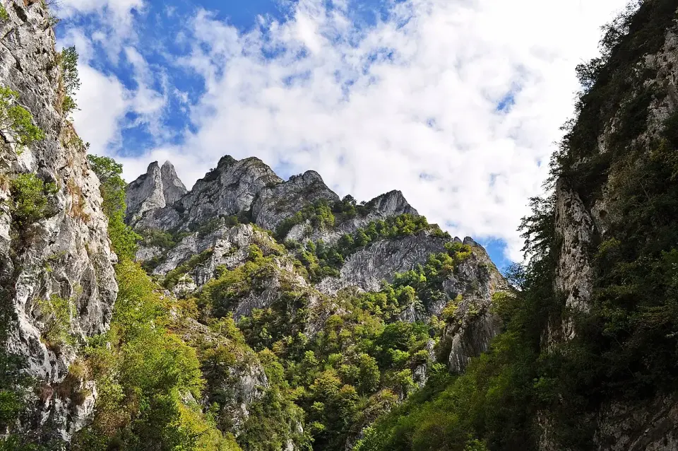 Agujas de roca caliza y laderas boscosas sobre el desfiladero de los Beyos, bajo un cielo con nubes
