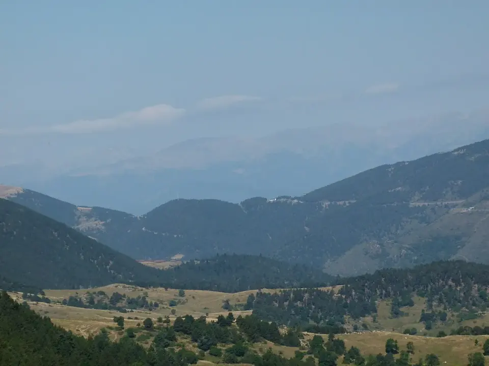 Prados y bosques de pino en los Plans de Nevà, junto a la collada de Toses, con las montañas de la Cerdanya al fondo