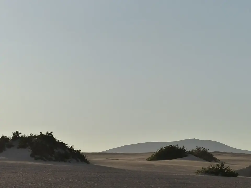 Dunas de arena del parque natural de Corralejo con matorrales y una montaña al fondo
