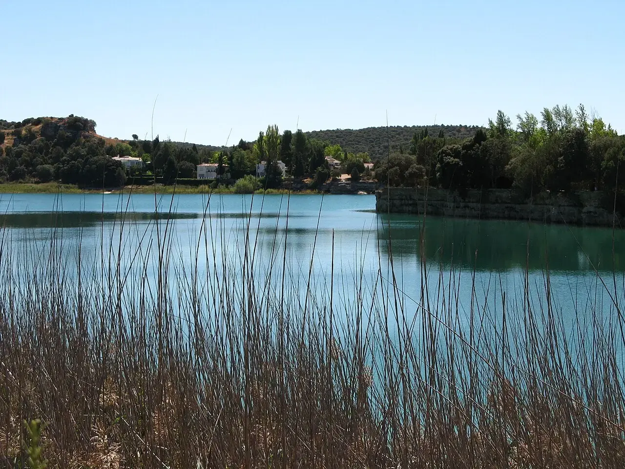 Laguna de Ruidera de agua azul turquesa entre carrizos, con casas y arboleda en la orilla de enfrente