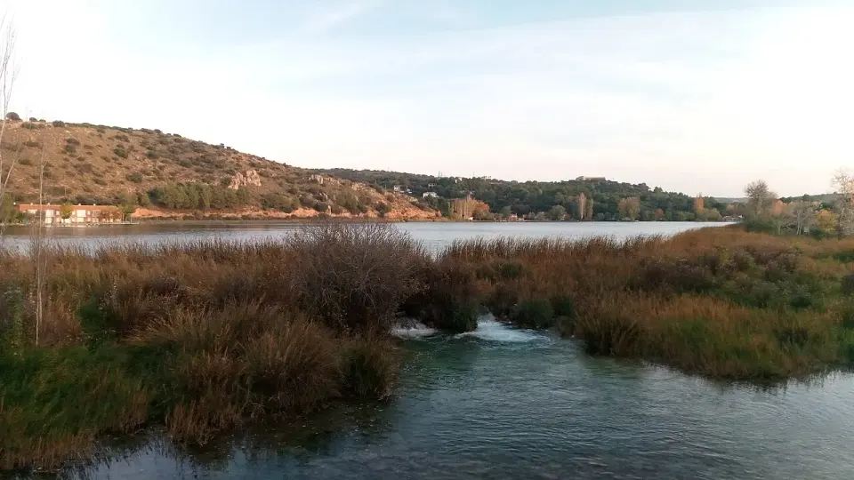 Laguna del Rey con carrizos y una pequeña cascada entre la vegetación, y lomas con casas al fondo