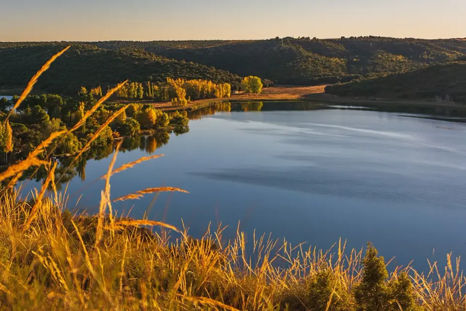 Laguna de Ruidera al atardecer, con chopos amarillos en la orilla, lomas cubiertas de monte y hierbas doradas en primer plano