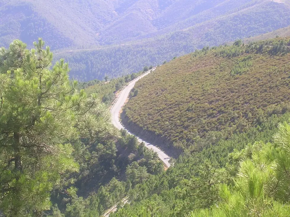 Carretera de montaña que serpentea por una ladera cubierta de pinos en Las Hurdes