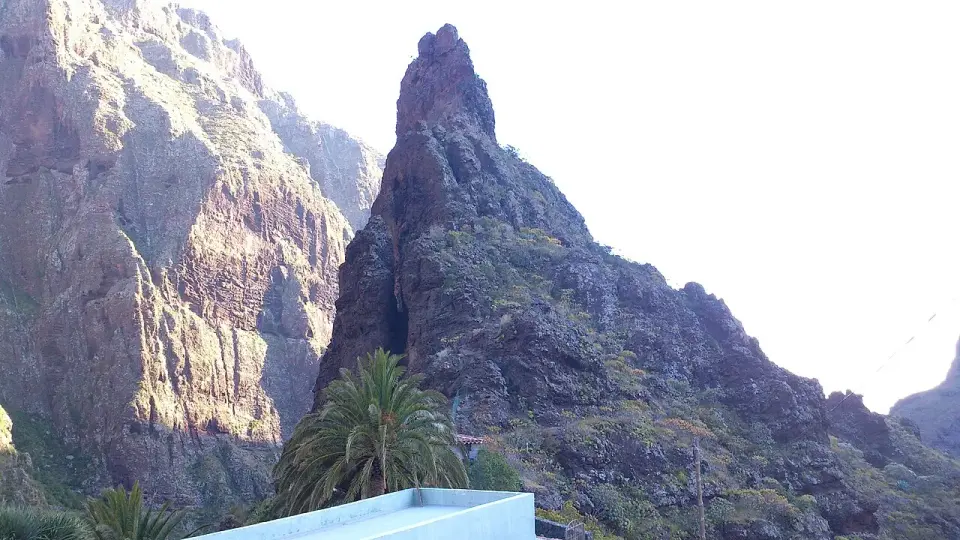 Roque puntiagudo y paredes del barranco de Masca con palmeras en primer plano