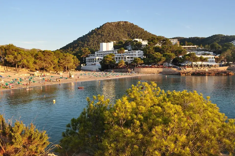 S'Arenal Gros de Portinatx con la playa, los pinos y la montaña al fondo
