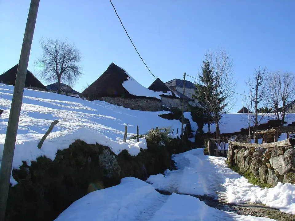 Pallozas de Piornedo con los tejados de paja cubiertos de nieve, junto a un camino nevado entre árboles sin hojas