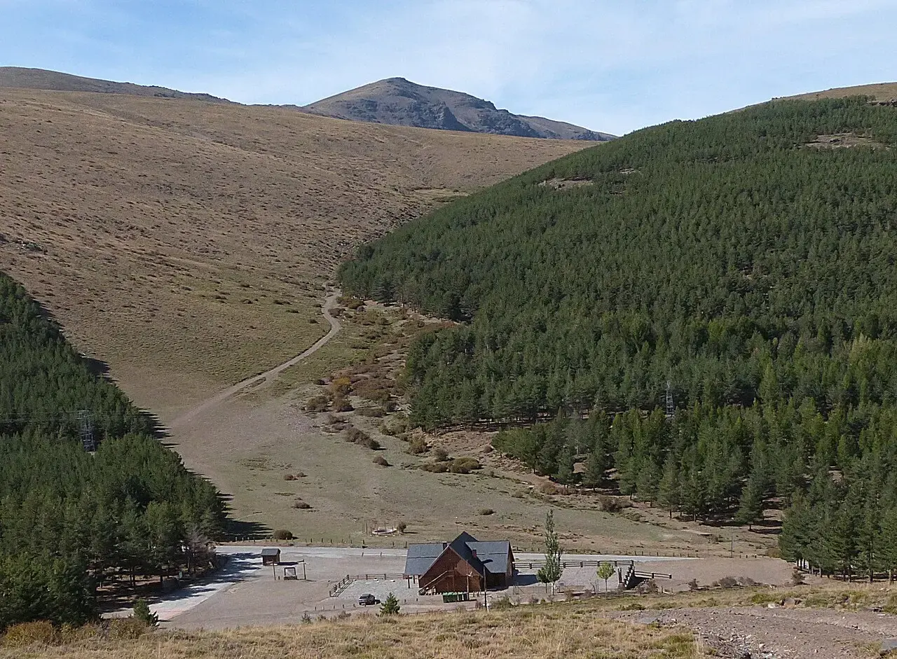 Explanada del puerto de la Ragua con un refugio de madera, rodeada de pinares y lomas de alta montaña de Sierra Nevada