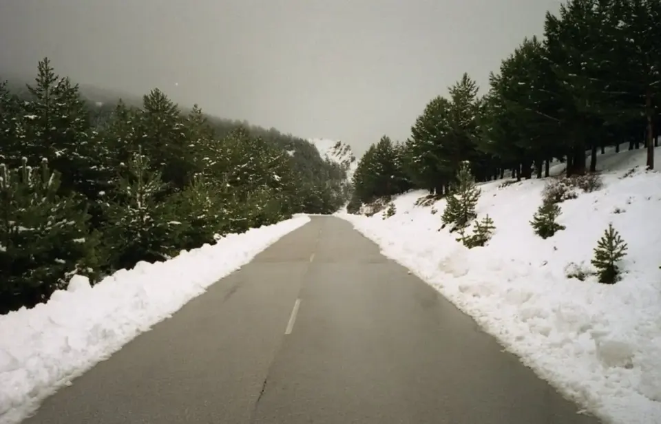 Carretera del puerto de la Ragua entre pinos con nieve acumulada a ambos lados de la calzada