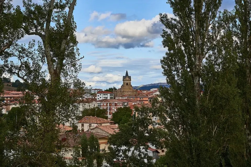 Vista elevada de Cervera de Pisuerga entre árboles, con la torre de la iglesia y las montañas detrás