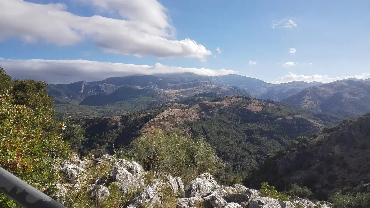 Montañas de la Serranía de Ronda cubiertas de pinar y matorral, con rocas calizas en primer plano y nubes sobre las cumbres