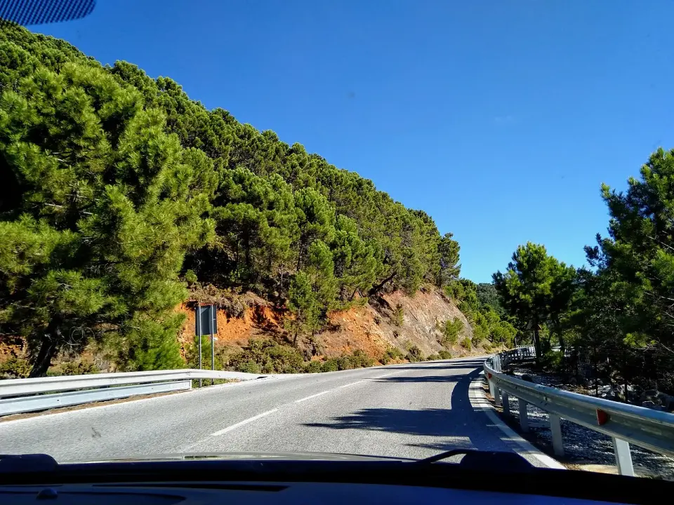Curva de la carretera A-397 entre pinos y taludes de tierra rojiza, con quitamiedos a ambos lados