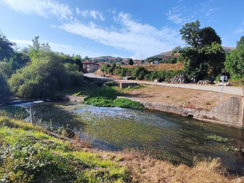 Pozo de aguas verdes y transparentes del nacimiento del Ebro en Fontibre, rodeado de árboles y hierba