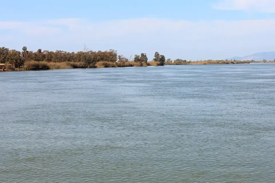 El río Ebro, ancho y tranquilo, a su paso por Deltebre, con una orilla arbolada al fondo