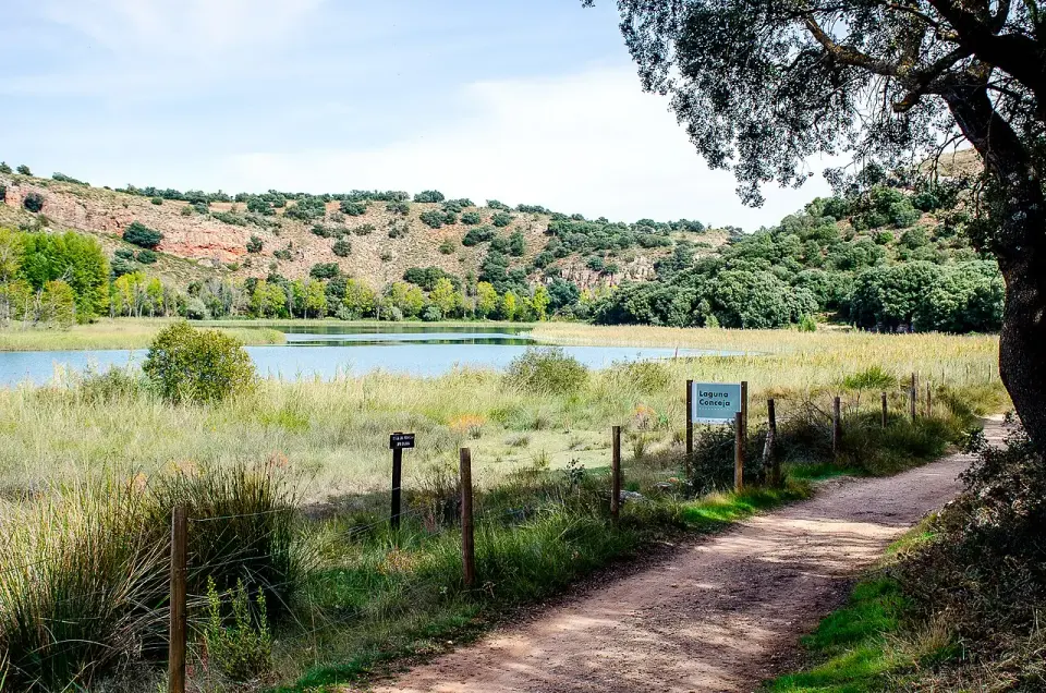 Laguna Conceja, en las lagunas de Ruidera, rodeada de vegetación, con un camino de tierra y un cartel informativo