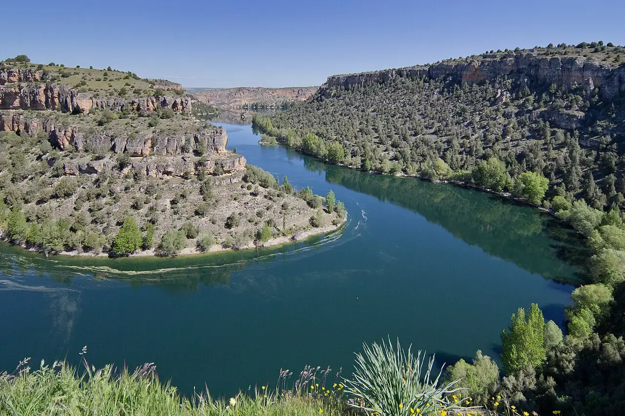 El río Duratón traza una curva entre paredes de roca caliza cubiertas de vegetación en las Hoces del Duratón