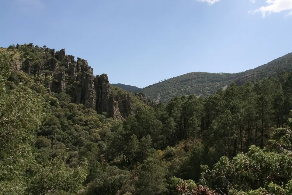 Valle del río Batuecas con laderas cubiertas de pinar y crestas de roca bajo el cielo azul