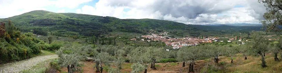 Vista panorámica de San Martín de Trevejo entre olivos, al pie de unas sierras cubiertas de bosque