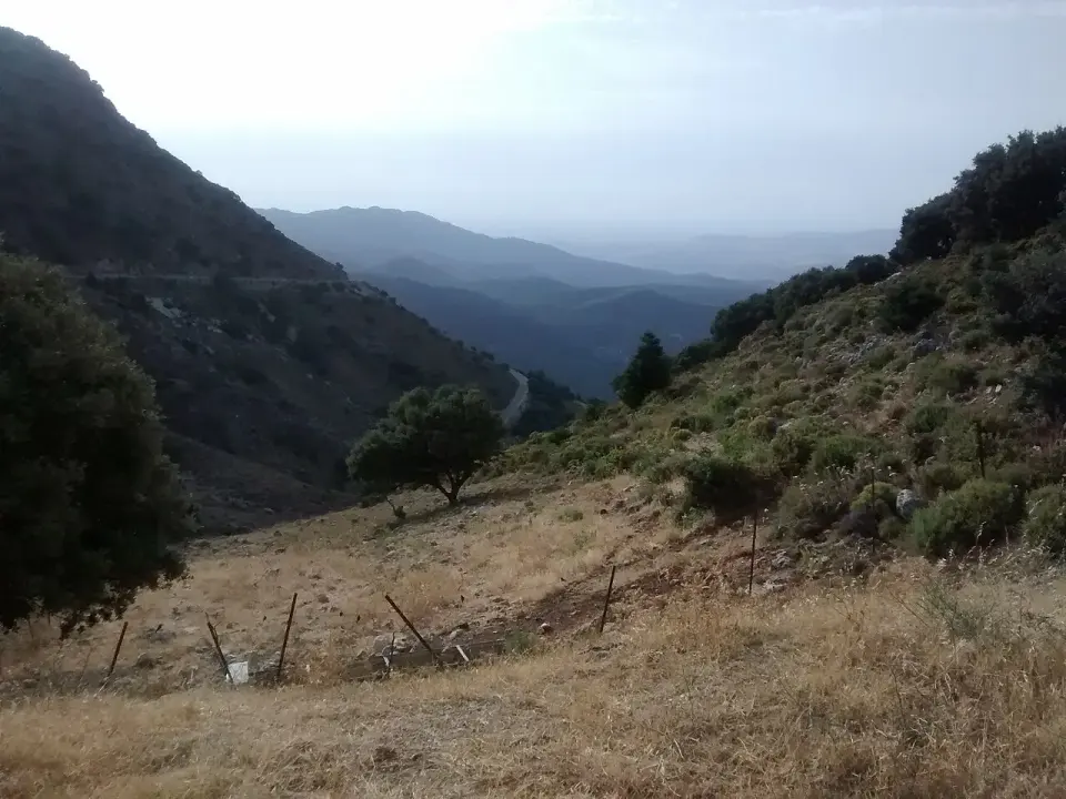 Valle de montaña con encinas y pastos secos visto desde el puerto de las Palomas, con sierras al fondo