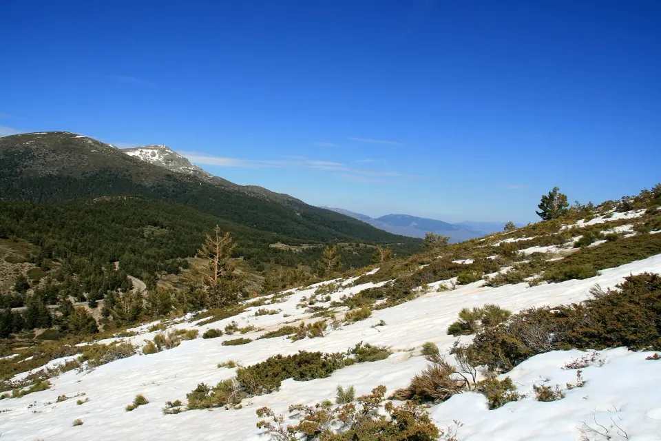 Ladera nevada con matorral y pinos sobre el valle alto del Lozoya, con montañas boscosas al fondo y cielo azul