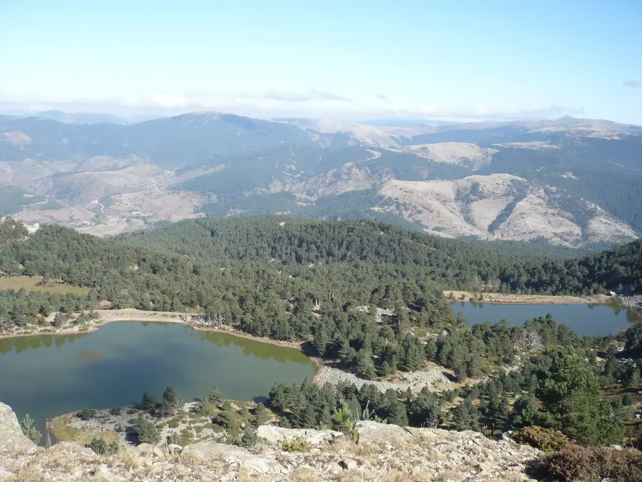 Dos lagunas glaciares de Neila rodeadas de pinares, vistas desde lo alto con las montañas de la sierra al fondo