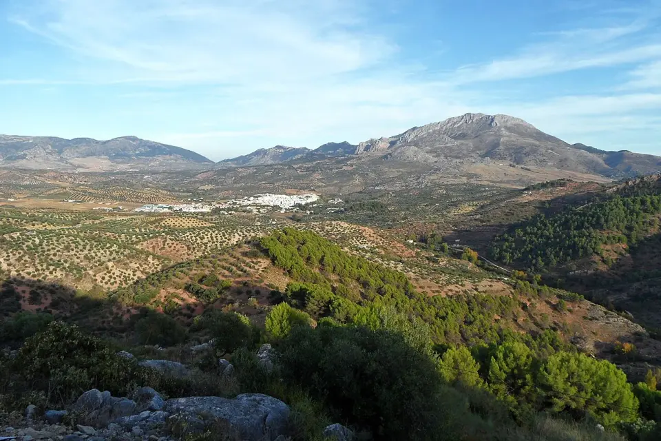 Vista desde un mirador de la A-366 hacia El Burgo, con el pueblo blanco entre olivares y pinares y la Sierra Prieta al fondo