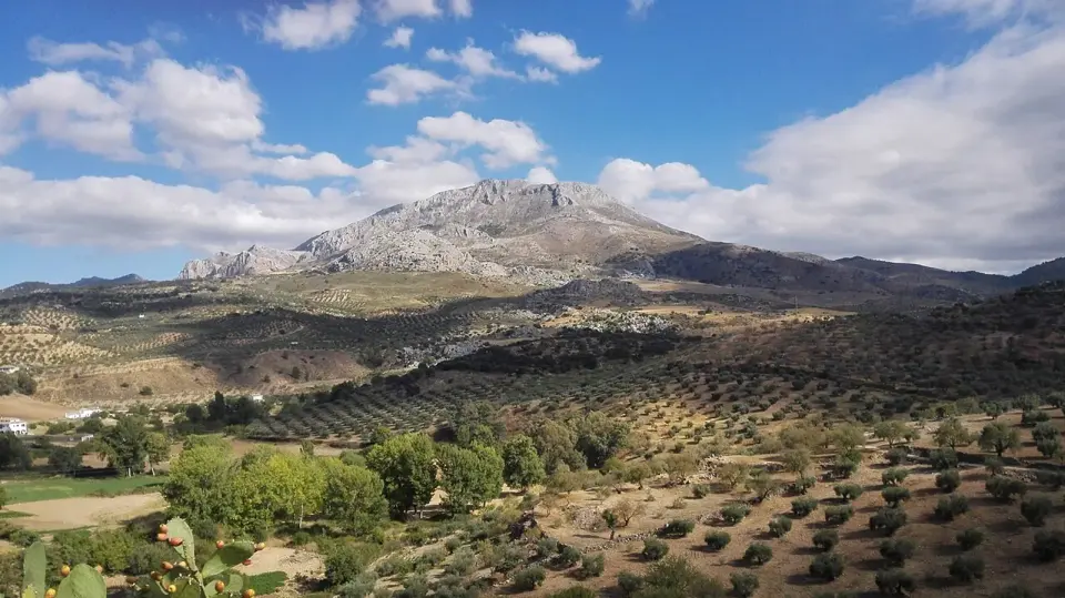 Olivares y campos junto a El Burgo con una montaña caliza de cumbre rocosa al fondo y nubes blancas