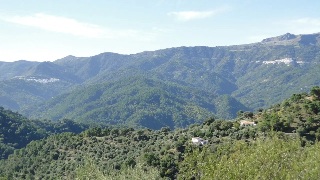 Laderas del Valle del Genal cubiertas de bosque, con dos pueblos blancos encaramados en la montaña y un cortijo entre olivos en primer plano