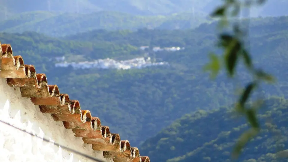 Tejado de teja árabe de una casa de Benalauría en primer plano y, al otro lado del valle cubierto de bosque, un pueblo blanco del Genal